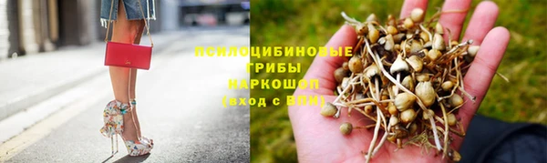 стаф Абдулино