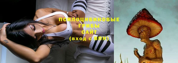 МДПВ Абинск