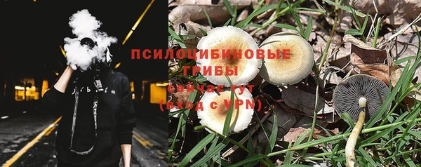 стаф Абдулино