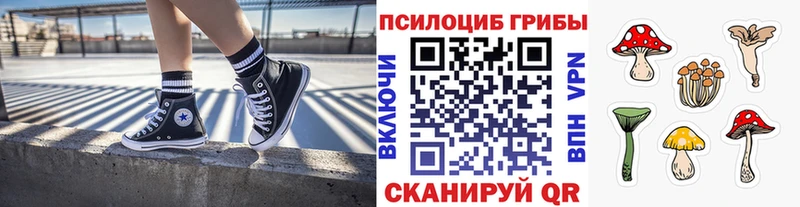 Галлюциногенные грибы мухоморы купить наркоту Заозёрный
